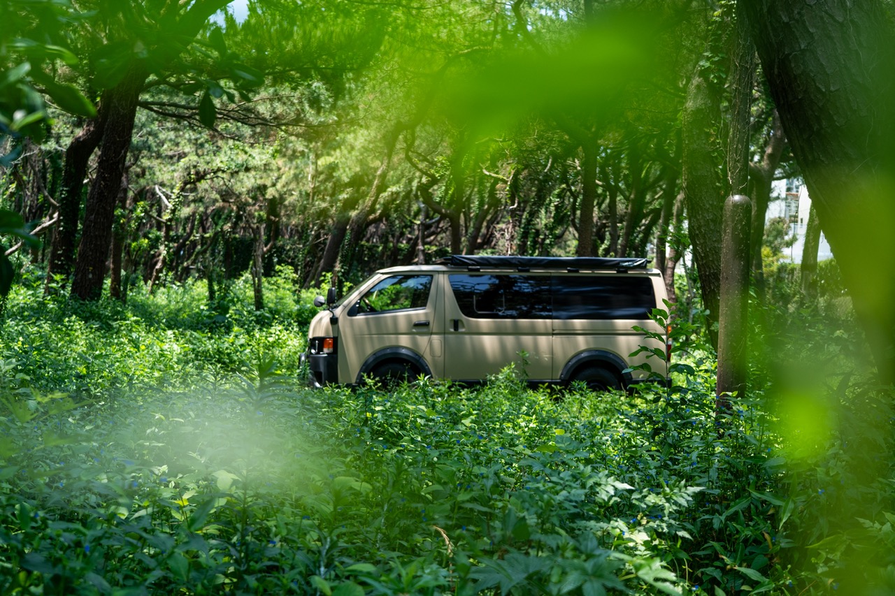 van in woods
